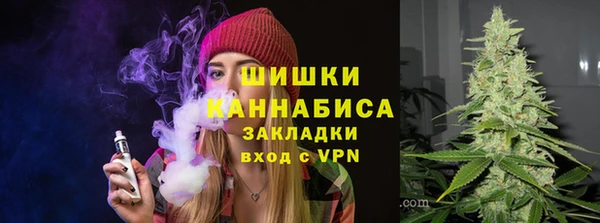 МДПВ Липки