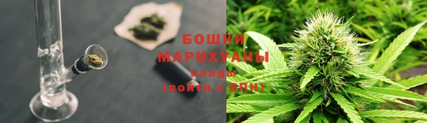МДПВ Липки