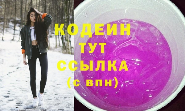 МДПВ Липки
