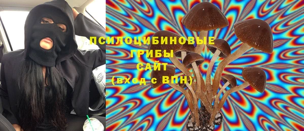 МДПВ Липки