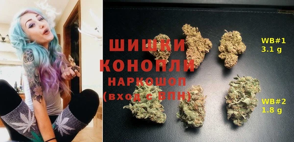 ПСИЛОЦИБИНОВЫЕ ГРИБЫ Лагань
