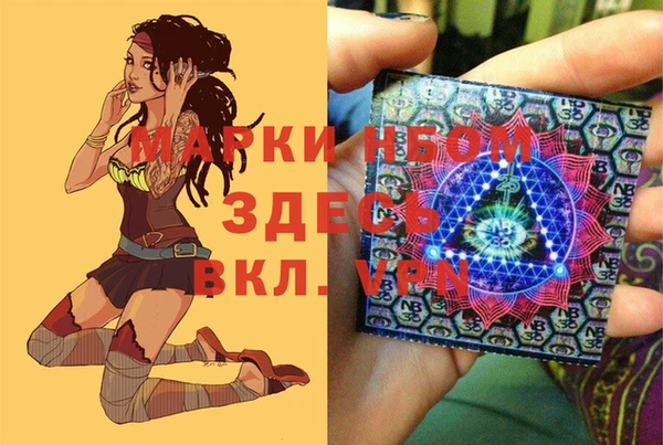 МДПВ Липки