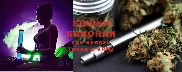 МДПВ Липки