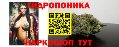 прущие крисы Абакан