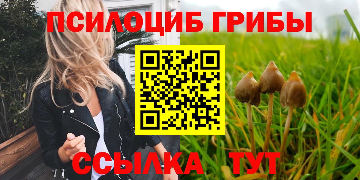 Псилоцибиновые грибы Psilocybe  Вход с VPN  Муром 