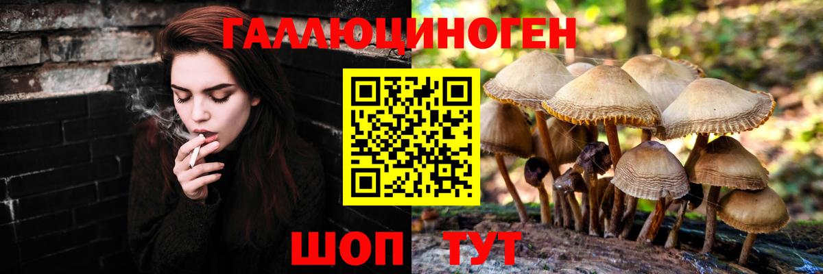 Галлюциногенные грибы GOLDEN TEACHER  где купить наркотик  Муром 