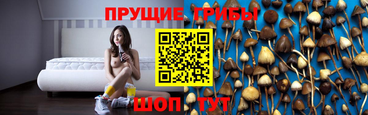 Псилоцибиновые грибы GOLDEN TEACHER Муром